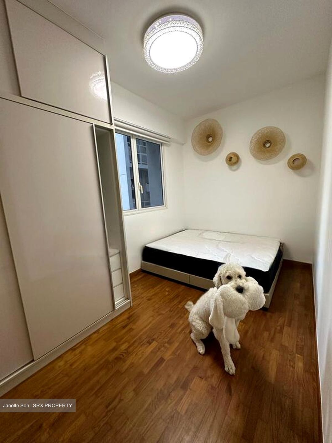 Forestville (D25), Condominium #462978451